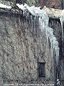 Picture 041